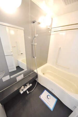 カスタリア銀座IIIの物件内観写真